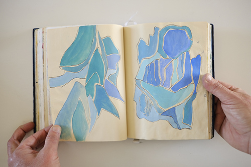 cuadernos | carnet-2017 | &copy; patrice de Santa Coloma