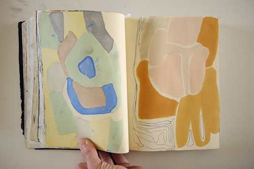 carnets | carnet-2018 | &copy; patrice de Santa Coloma