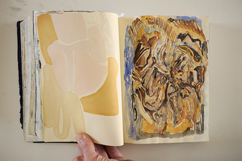 carnets | carnet-2018 | &copy; patrice de Santa Coloma