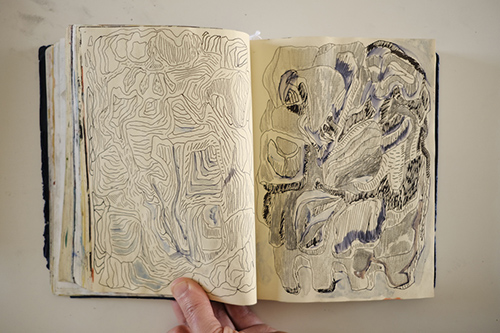 carnets | carnet-2018 | &copy; patrice de Santa Coloma