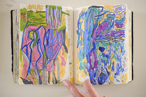 carnets | carnet-2018 | &copy; patrice de Santa Coloma