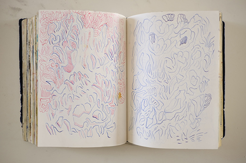 carnets | carnet-2018 | &copy; patrice de Santa Coloma