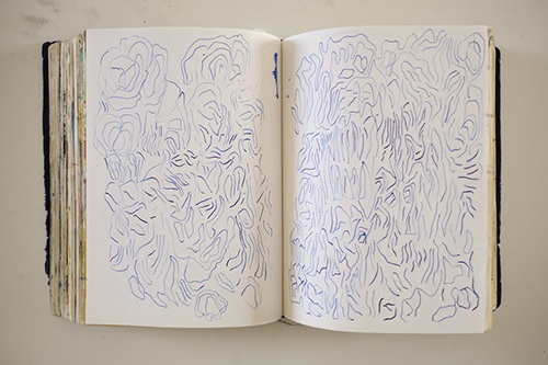carnets | carnet-2018 | &copy; patrice de Santa Coloma