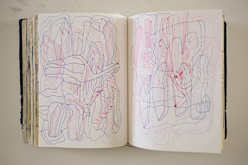 carnets | carnet-2018 | &copy; patrice de Santa Coloma