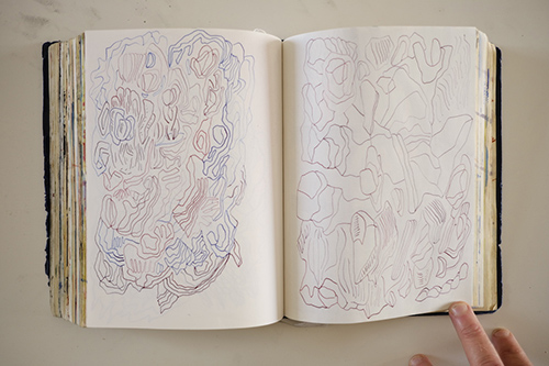 carnets | carnet-2018 | &copy; patrice de Santa Coloma