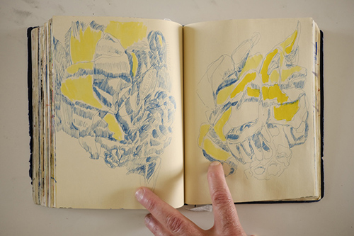 carnets | carnet-2018 | &copy; patrice de Santa Coloma