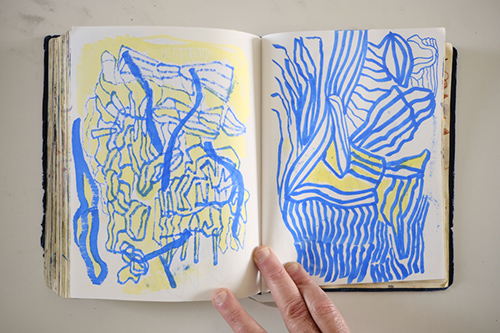 carnets | carnet-2018 | &copy; patrice de Santa Coloma