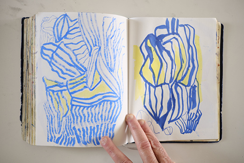 carnets | carnet-2018 | &copy; patrice de Santa Coloma