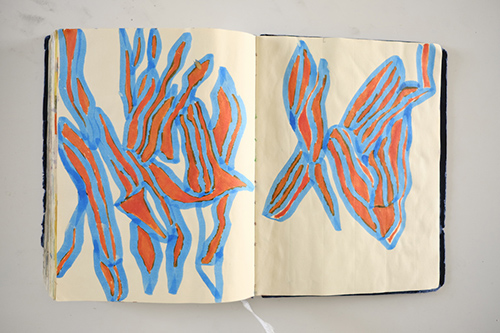carnets | carnet-2018 | &copy; patrice de Santa Coloma