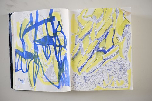 carnets | carnet-2018 | &copy; patrice de Santa Coloma