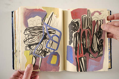 carnets | carnet-2018 | &copy; patrice de Santa Coloma