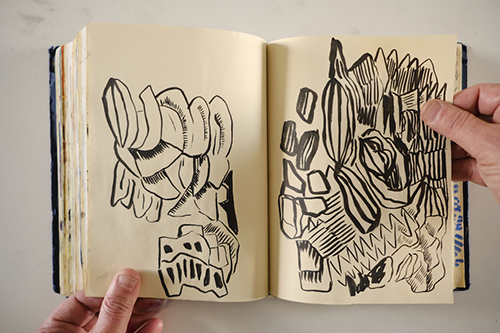 carnets | carnet-2018 | &copy; patrice de Santa Coloma