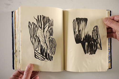 carnets | carnet-2018 | &copy; patrice de Santa Coloma