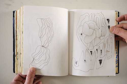 carnets | carnet-2018 | &copy; patrice de Santa Coloma