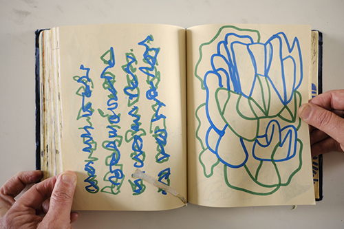 carnets | carnet-2018 | &copy; patrice de Santa Coloma