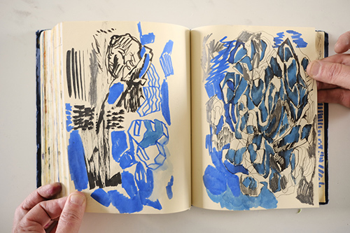 carnets | carnet-2018 | &copy; patrice de Santa Coloma