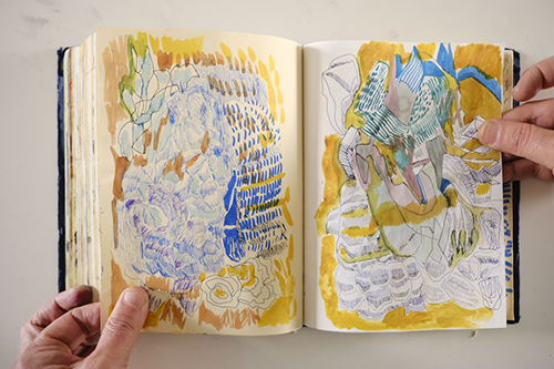 carnets | carnet-2018 | &copy; patrice de Santa Coloma