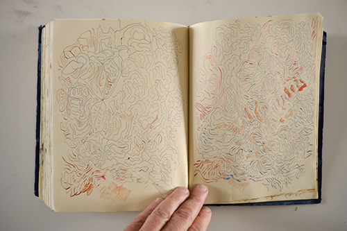 carnets | carnet-2018 | &copy; patrice de Santa Coloma