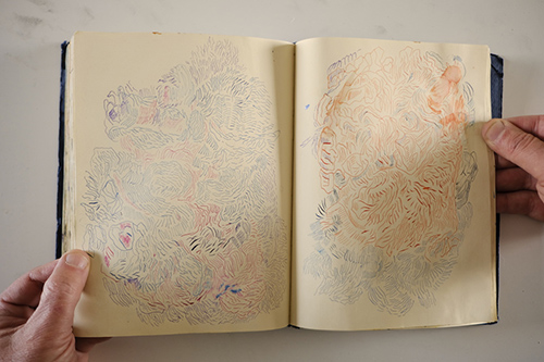 carnets | carnet-2018 | &copy; patrice de Santa Coloma