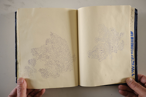 carnets | carnet-2018 | &copy; patrice de Santa Coloma
