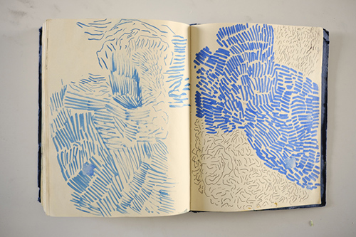 carnets | carnet-2018 | &copy; patrice de Santa Coloma