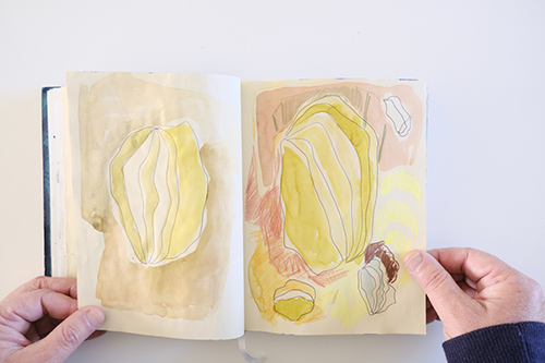 cuadernos | carnet-2022 | &copy; patrice de Santa Coloma
