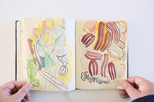 cuadernos | carnet-2022 | &copy; patrice de Santa Coloma
