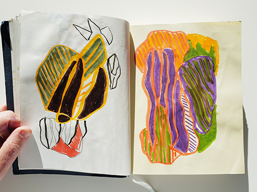 carnets | carnet-2024 | &copy; patrice de Santa Coloma