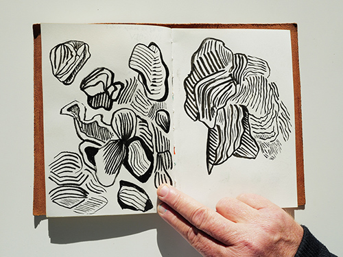 carnets | carnet-2024 | &copy; patrice de Santa Coloma
