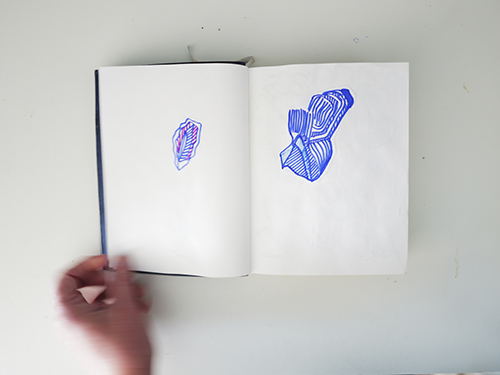 carnets | carnet-2025 | &copy; patrice de Santa Coloma