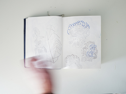 carnets | carnet-2025 | &copy; patrice de Santa Coloma