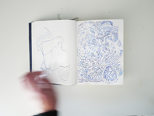 carnets | carnet-2025 | &copy; patrice de Santa Coloma