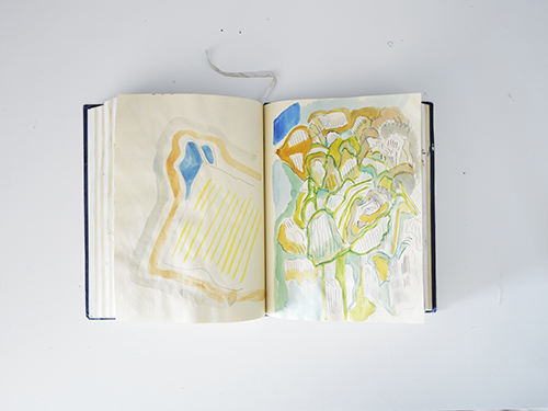carnets | carnet-2025 | &copy; patrice de Santa Coloma