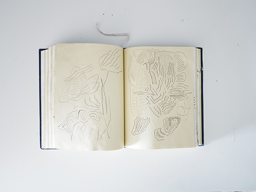 carnets | carnet-2025 | &copy; patrice de Santa Coloma