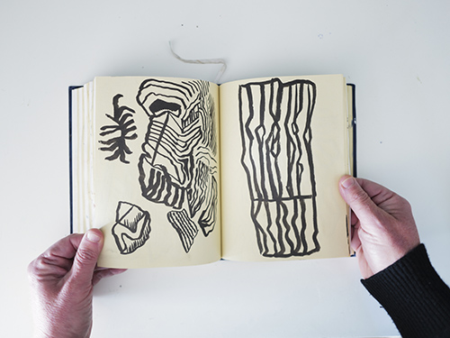 carnets | carnet-2025 | &copy; patrice de Santa Coloma