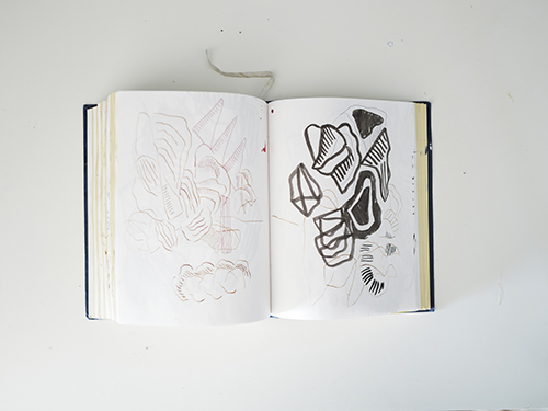 carnets | carnet-2025 | &copy; patrice de Santa Coloma