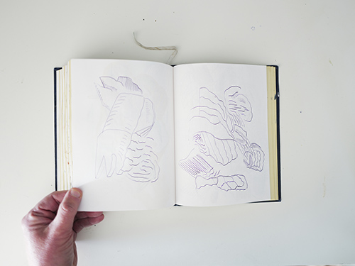 carnets | carnet-2025 | &copy; patrice de Santa Coloma
