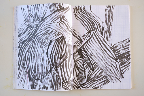 cuadernos | carnet-ida-premsel | &copy; patrice de Santa Coloma