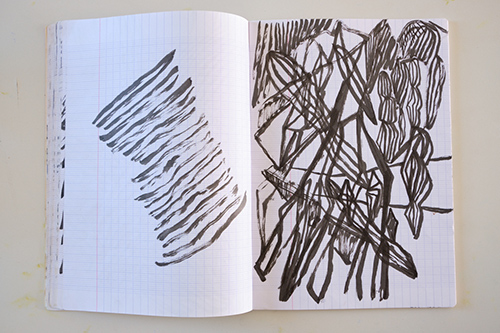cuadernos | carnet-ida-premsel | &copy; patrice de Santa Coloma