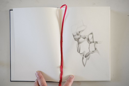 carnets | carnet-proteines | &copy; patrice de Santa Coloma