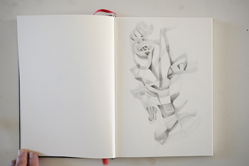 carnets | carnet-proteines | &copy; patrice de Santa Coloma