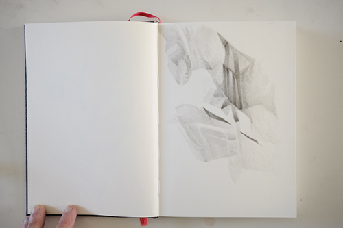 carnets | carnet-proteines | &copy; patrice de Santa Coloma