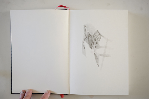 carnets | carnet-proteines | &copy; patrice de Santa Coloma