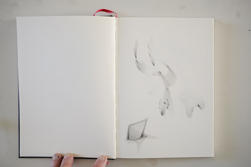 carnets | carnet-proteines | &copy; patrice de Santa Coloma