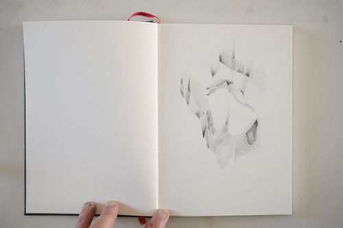 carnets | carnet-proteines | &copy; patrice de Santa Coloma