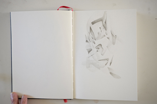 carnets | carnet-proteines | &copy; patrice de Santa Coloma