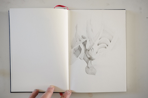 carnets | carnet-proteines | &copy; patrice de Santa Coloma