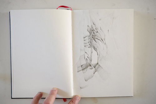 carnets | carnet-proteines | &copy; patrice de Santa Coloma