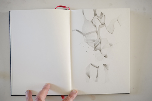 carnets | carnet-proteines | &copy; patrice de Santa Coloma