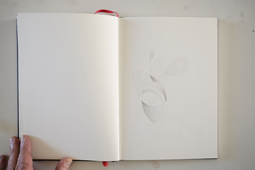 carnets | carnet-proteines | &copy; patrice de Santa Coloma
